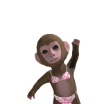 @piggy_koel