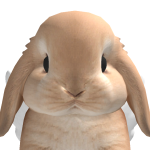 @xSunfl0wer_xX