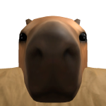 @friend_dude12345