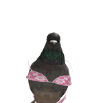 @kitchula4