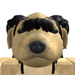 @izumiq5