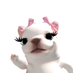 @Killua_P0wer