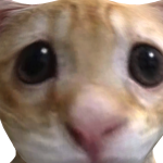 @SWAGGYJUNGK00K