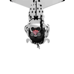 @robloxgamergirl10y