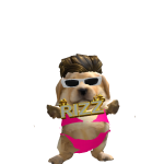 @ilovemaccasalot