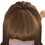 @Aesthetic_Bloxburgh