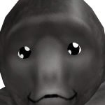 @Supperboi999