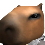 @diegoamigoxd5