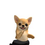 @Mrbear0837