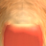 @totallynotritaa