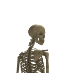 @imfsbtw