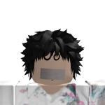@aaronsblind