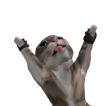 @XxnwzirrxX