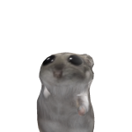 @elpidapro