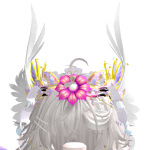@Aa_Ppoinoininionion