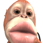 @JBK709