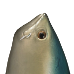@t289