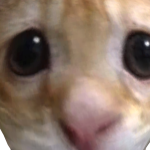 @ILOVECHEESESOMUCH101