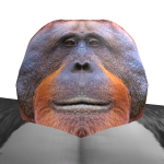 @Thenames_chungo