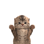 @V4MPKXRE