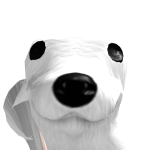 @Death_teddyxx