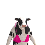 @C0ldCxrse