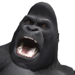 @aminccooll