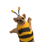 @pigletpork1287