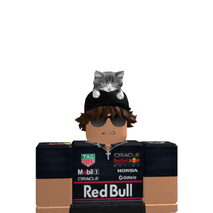 Roblox avatar