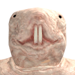 @LucasDKR2010