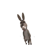 @fortniteyyy45789