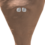 @0ChunkyChunks0