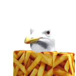 @Fra11nklin