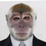@finglejoe