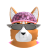 ChaoticRandomVerossa