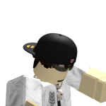 @slide4vic