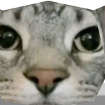 @pythonbacon