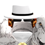 Racemodex Roblox avatar