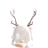 pokemonBreiana200