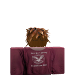 @seeninswag