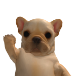 @minerdogs007