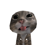 @kittencat1950