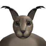 @roblox_user_3856310485