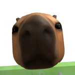 @bddhhfljhjkrkfk