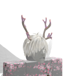 @D0TTUS