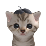 @SWAT55555551
