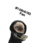 @CloudStrifesPookie