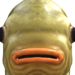 @Turtle9272