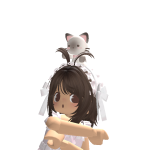 @cutiecake1928