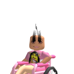 @n13unicorna
